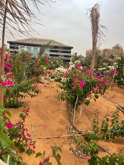مشتل بستان اوثال - Saudi Arabia|Unnamed Road 52616، Othal